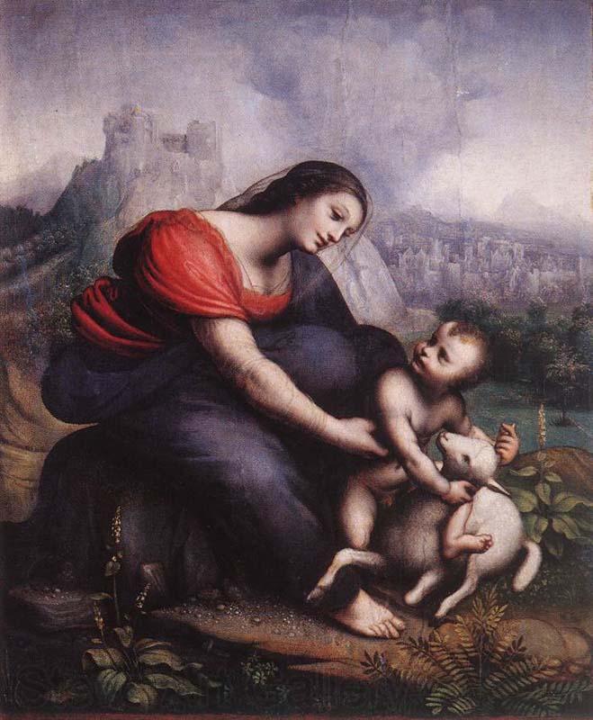 Cesare da Sesto Madonna and Child with the Lamb of God Spain oil painting art